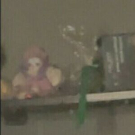 Realcarpetmuncher modelo imágenes