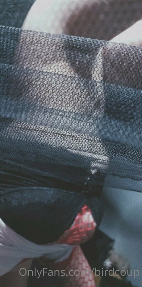 Birdcoup desnudos estrella galería