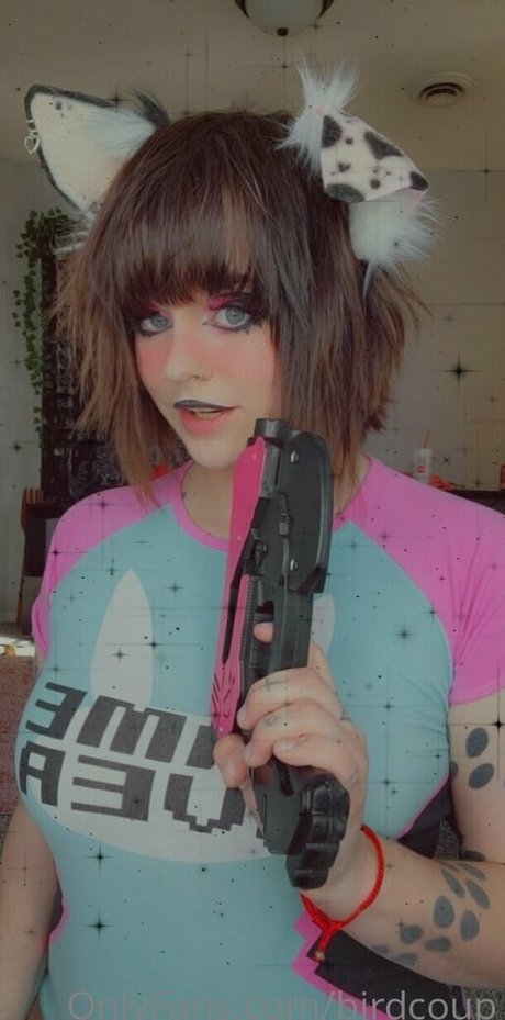 Birdcoup libre de estrellas imágenes