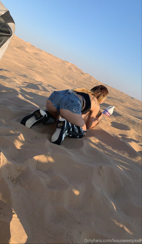 mochii xo estrella hermosa galerías