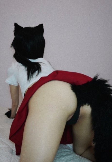 Faerver estrella agradable archivo