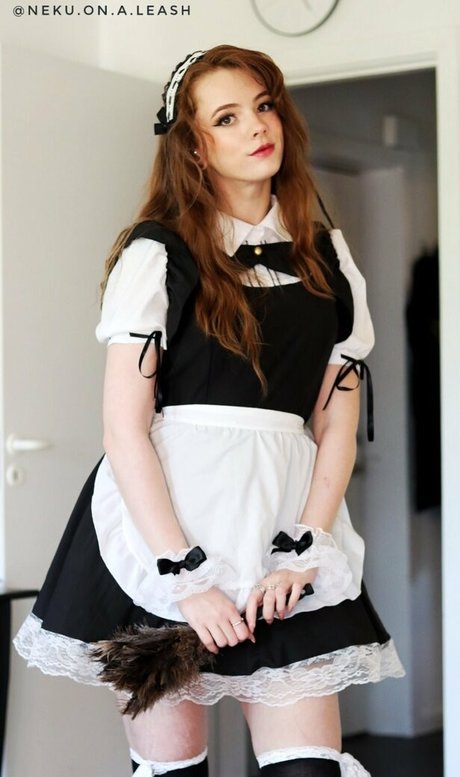 neku on a leash ppv mejor estrella imágenes