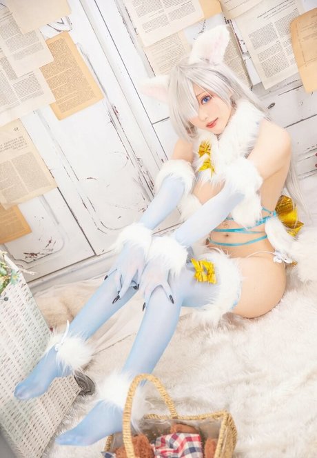 cheese estrella agradable imágenes