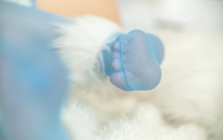 cheese actriz erótica fotos