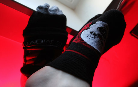 crustbag estrella porno xxx recopilación