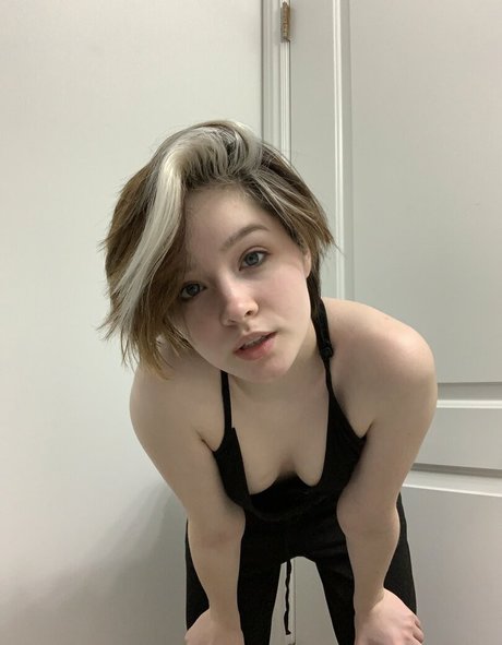 Breadboodle modelo perfecto imagen