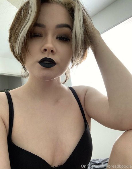 Breadboodle linda estrella galerías