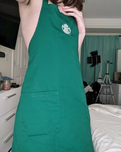 Shaninjago modelo archivo