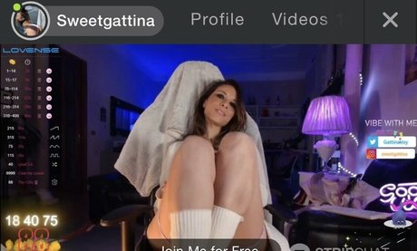 Gattinavoy estrella erótica galerías