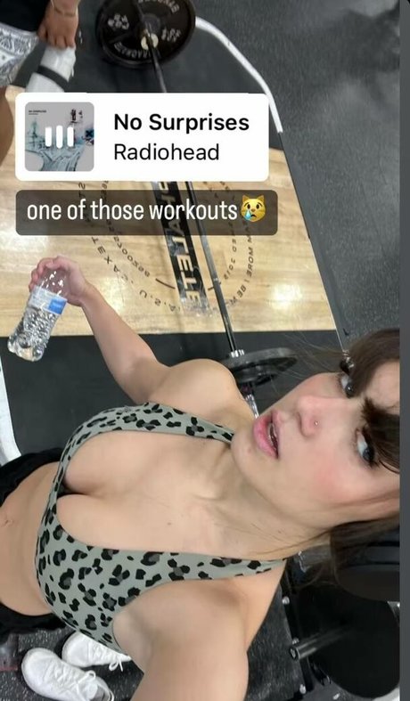 Carly jb estrella xxx archivo