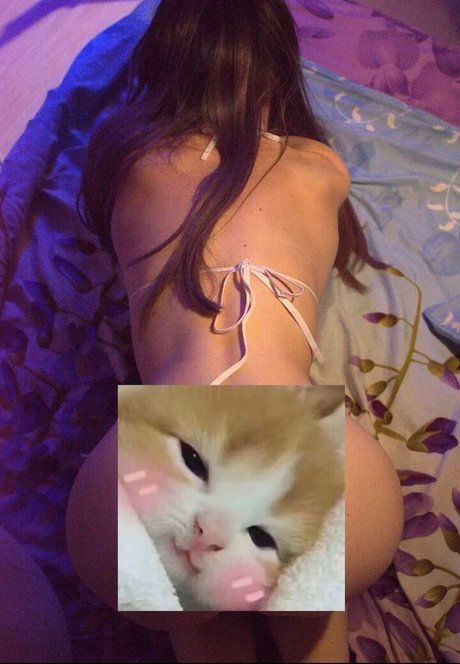 solo fans de pies grandes arte sexy archivo