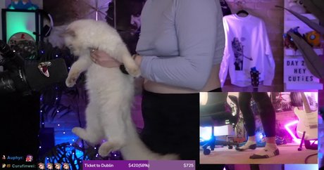 kaitlyn sc2 estrella porno agradable galería