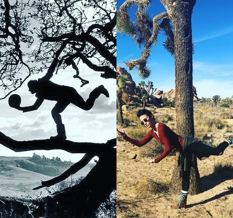 Allison Scagliotti estrella adulta archivo