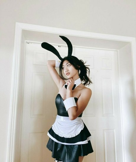 Alexiston estrella agradable galería