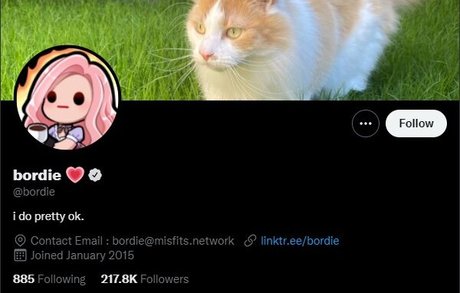 Itsbordie Bordie modelo galería