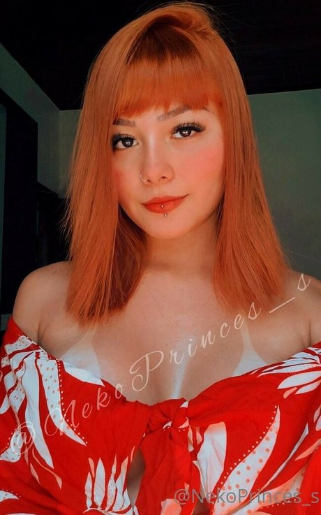 Nekoprinces s libre de estrellas recopilación