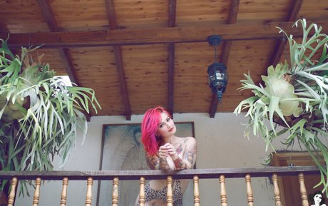 Fernanda Mercury Fotoaufnahmen