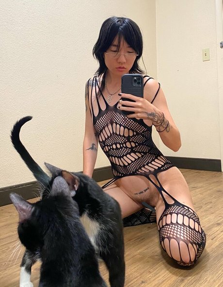 males are not cancelled modelo superior archivo