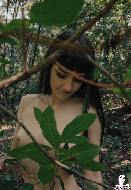 Lunathefairyy arte estelar imagen