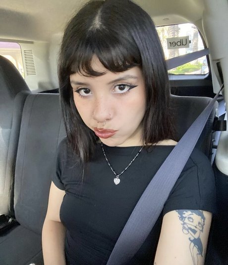 palechubs bonita modelo imágenes