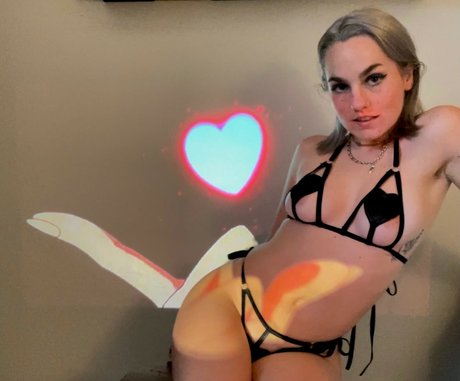 Wretched Wren estrella atractiva imagen