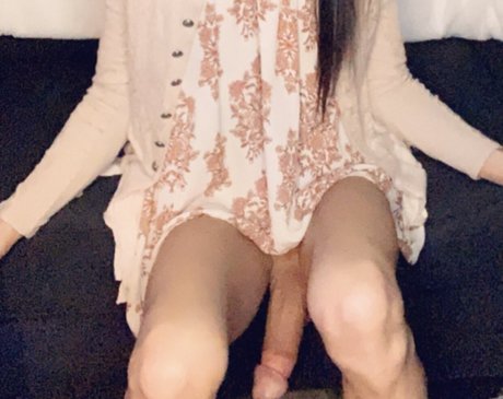 Holeytriniti estrella atractiva galerías