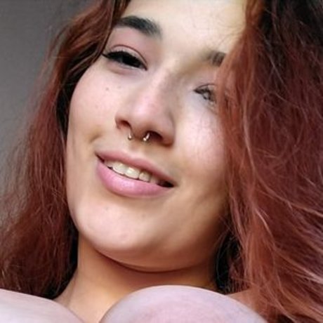 Majusuicide libre de estrellas foto