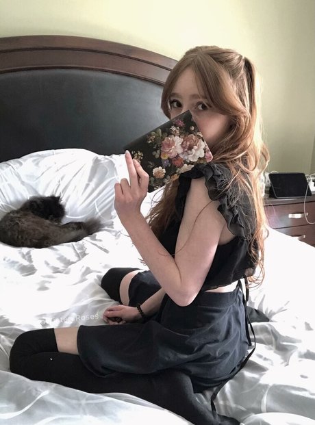 AWintersRoses modelo hd archivo