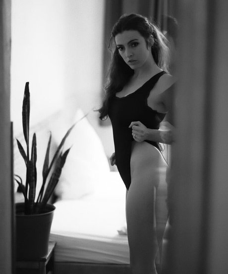 Fine Wolfanguar estrella superior foto