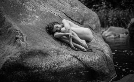 Fine Wolfanguar estrella de alta definición recopilación