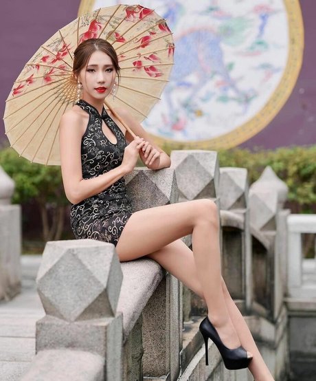 Anita Feifei 11111 modelo atractivo foto