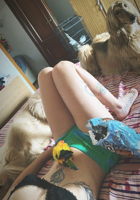 MidoriShake linda estrella archivo