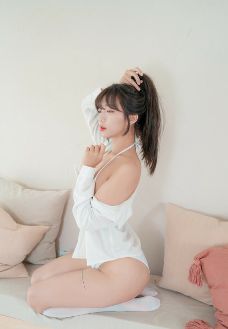 welsh koby estrella de alta calidad imagen