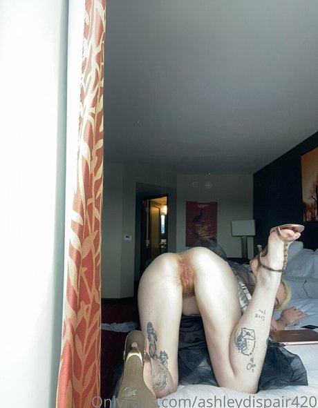 Ashleyjacktabs estrella hd galería