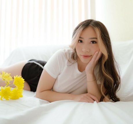 viavmber arte estelar galerías