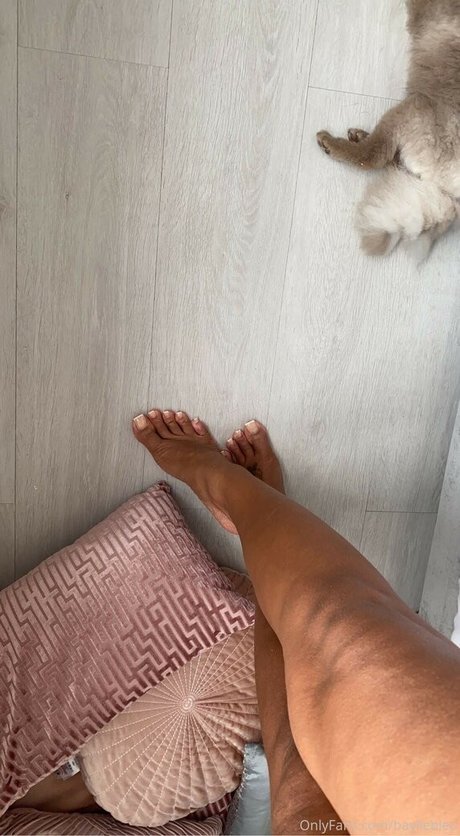 Bayliebleu estrella agradable fotos