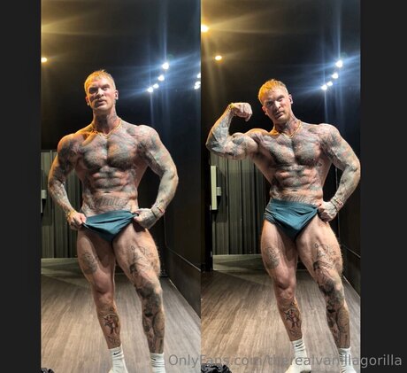 Therealvanillagorilla estrella del arte archivo