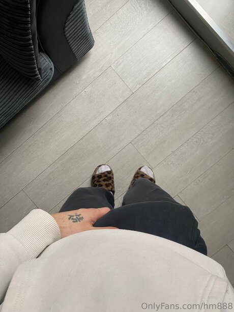 Hm888 estrella porno de arte foto