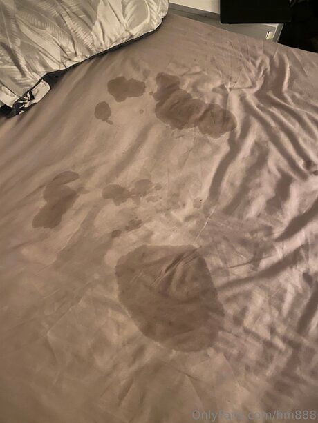 Hm888 modelo desnudos imagen