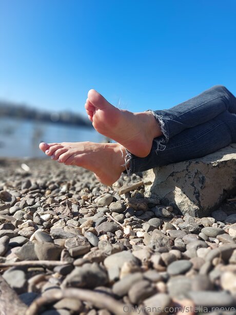 Stella Reeve arte estrella porno fotos