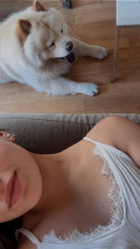 Ciarastarr actriz de alta definición archivo