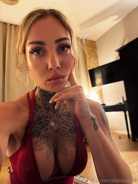 Elenascrib modelo hd foto