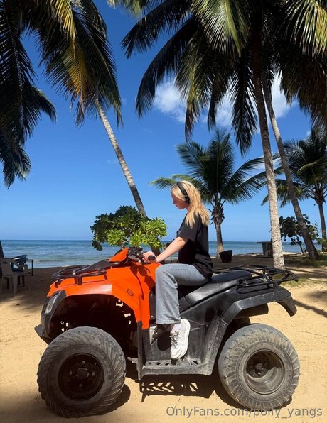 Polly Yangs actriz porno fotos