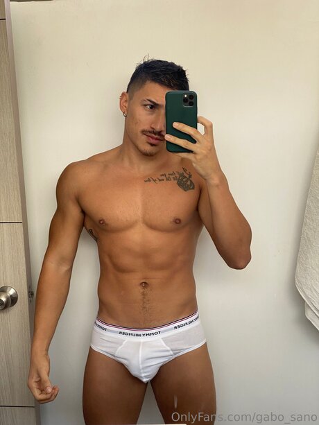 Gabo Sano1 actriz perfecta archivo