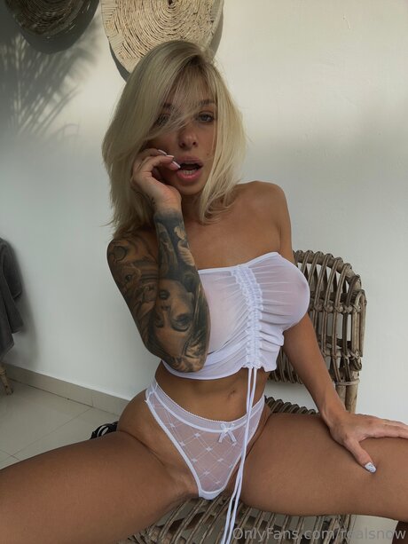 Realsnow arte modelo recopilación