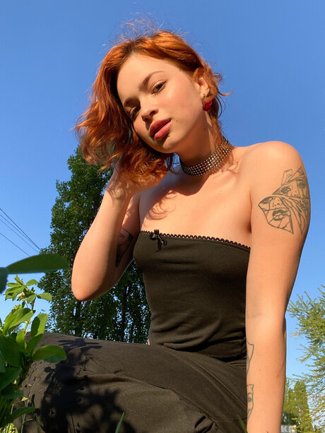 Pineappleri estrella de alta definición galerías