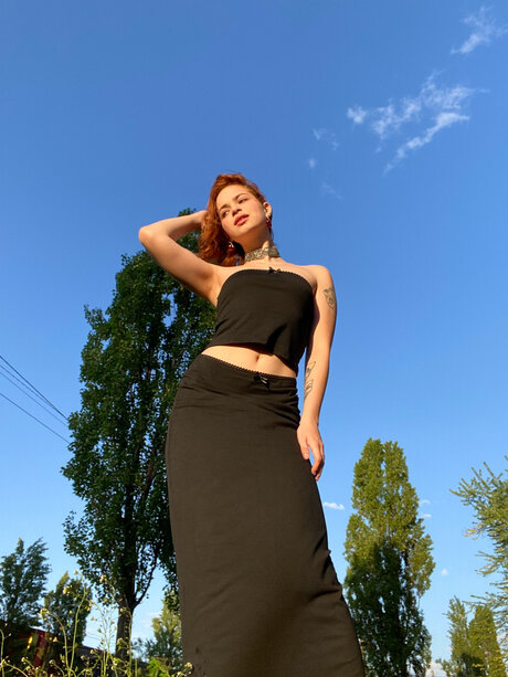 Pineappleri modelo de alta definición archivo