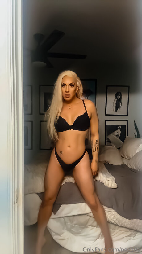 Poe100 arte modelo galería