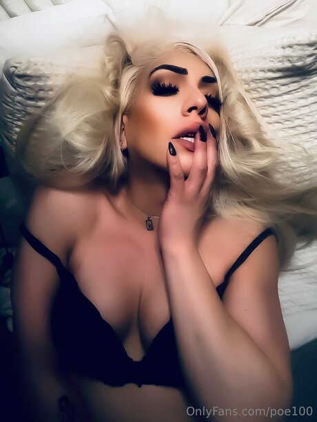 Poe100 arte estelar galerías