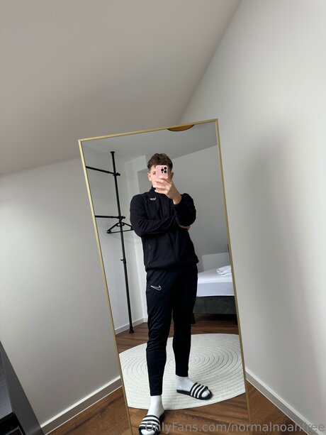 Normalnoahfree arte modelo galerías